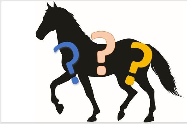 Mystery of the Missing Mare