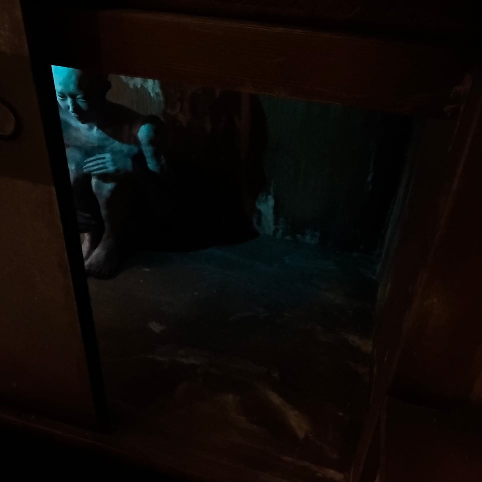 Japanese Horror Film Exhibition : The Immersive Art Experience