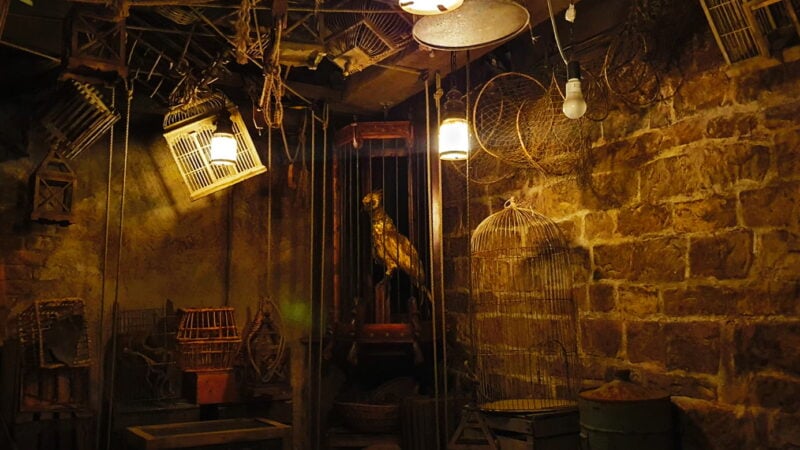 The Golden Phoenix