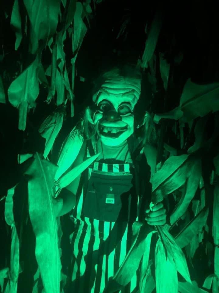 Haunted Corn Maze