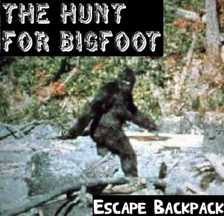 The Hunt for Bigfoot