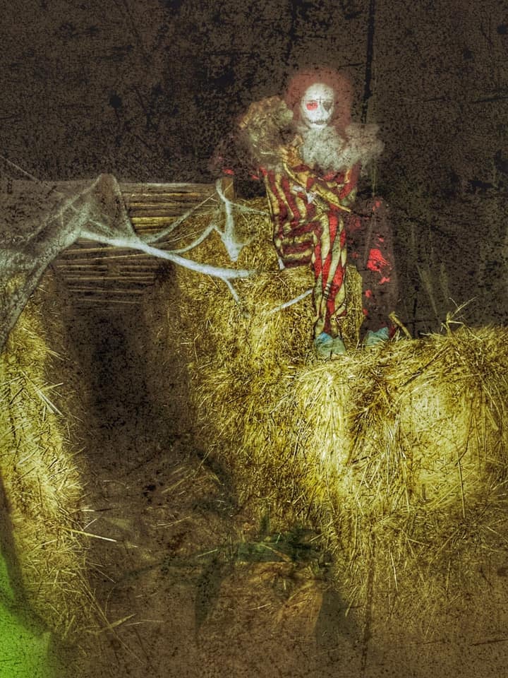 Sunshine Shelly's Nightmare Harvest