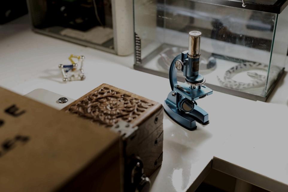 The Lab