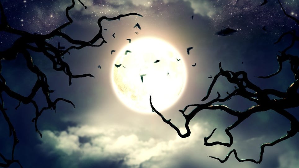 The Witching Hour