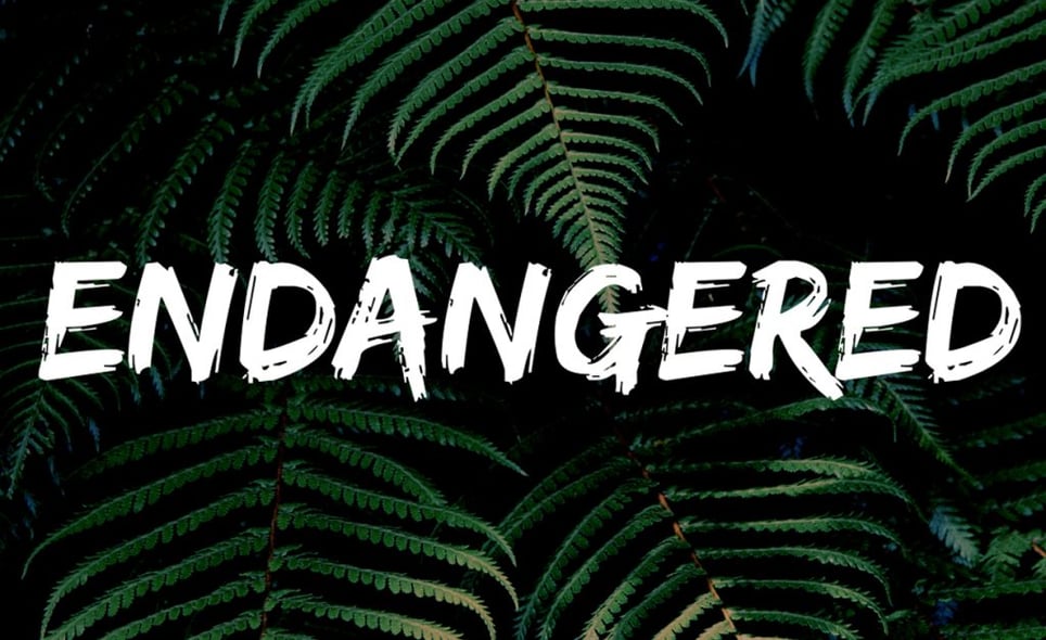 Endangered