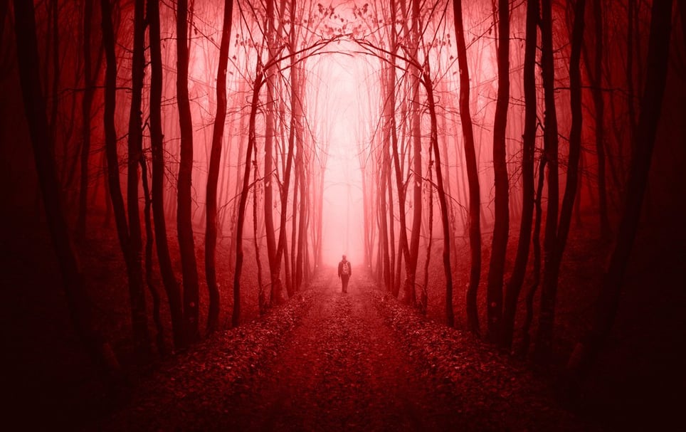 Paranoia and Possession : The Horrors of Camp Kray