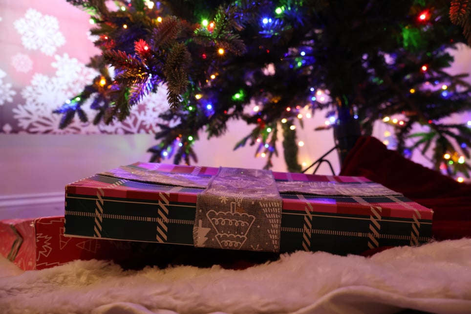 The Christmas Countdown: Checked Twice