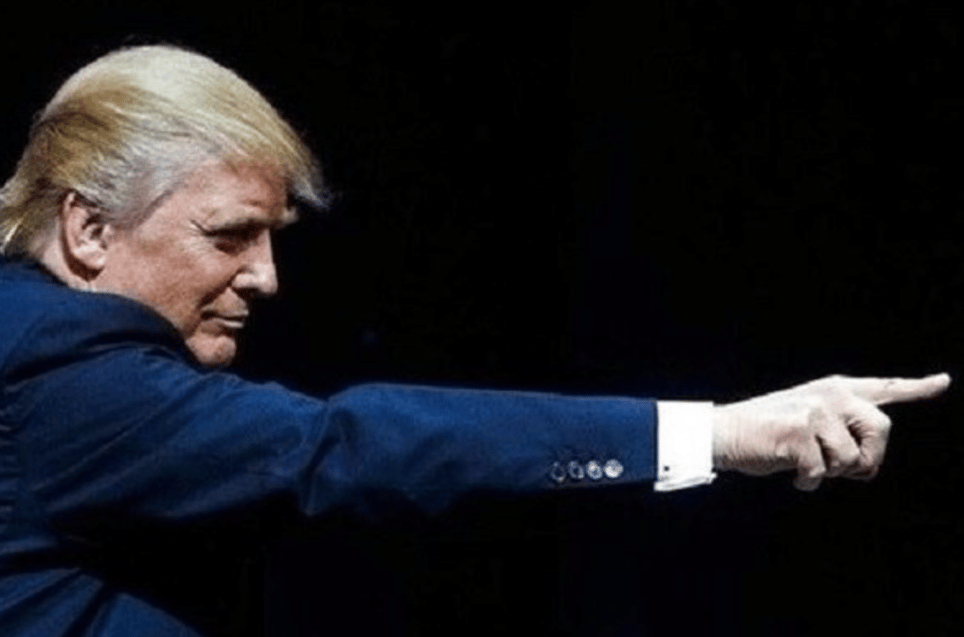 Escape Trump's America