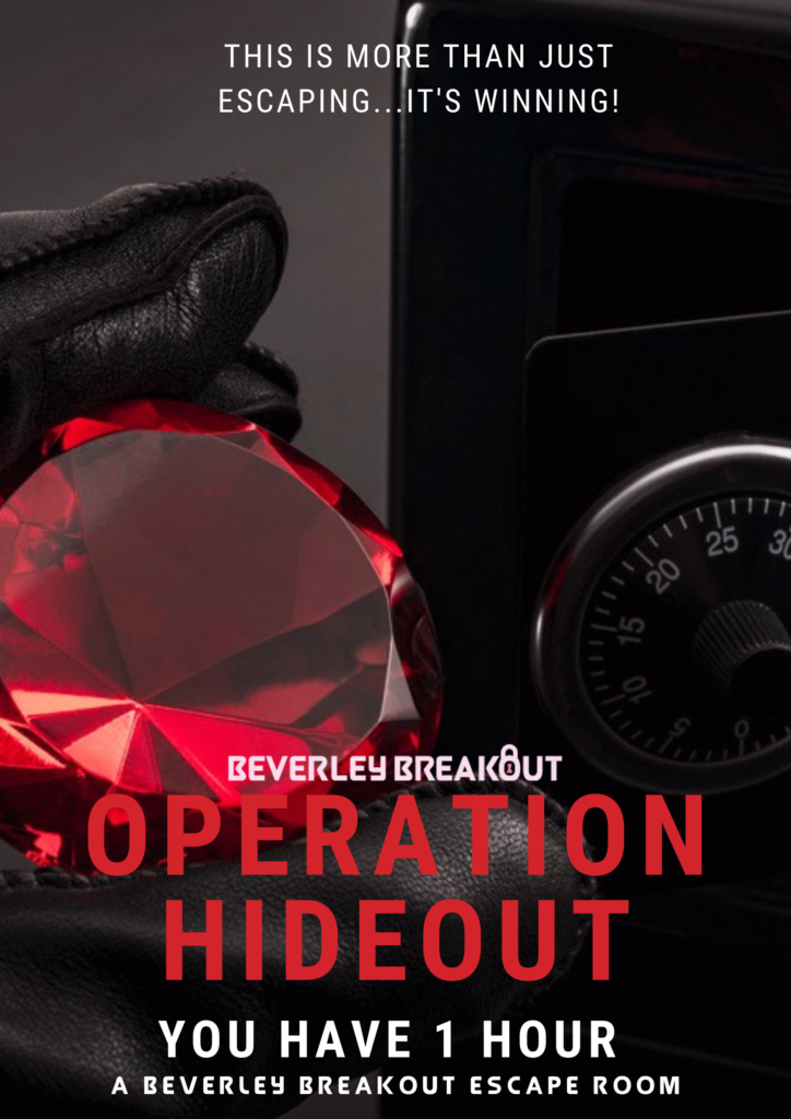 Operation Hideout - Jewel Pursuit 60 minutes