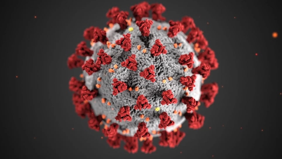 Tenovus- Virus TInkerers