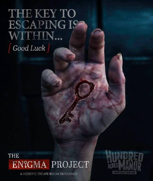 The Enigma Project