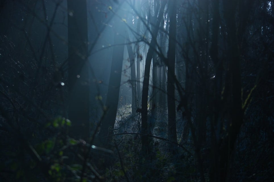 Photons of Fear [Season 2023]