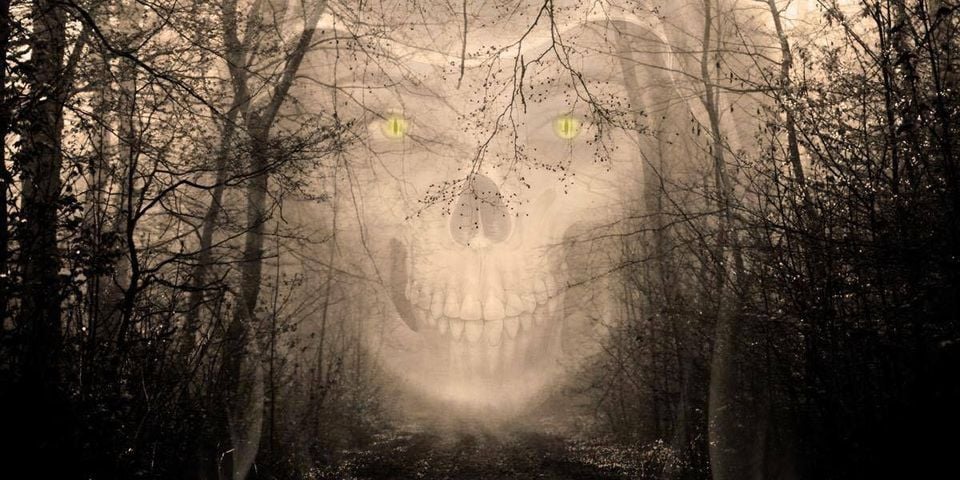Haunted Forest Adventures