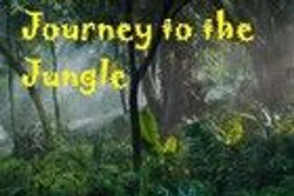 Journey to the Jungle