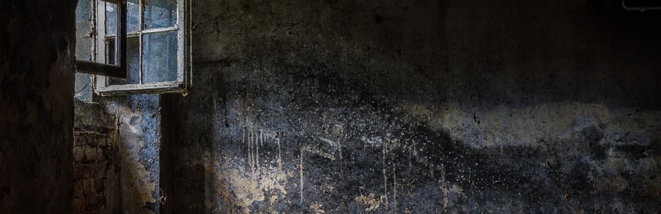De Alpha Bunker [The Alpha Bunker]