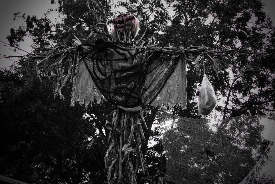 Haunted Trail