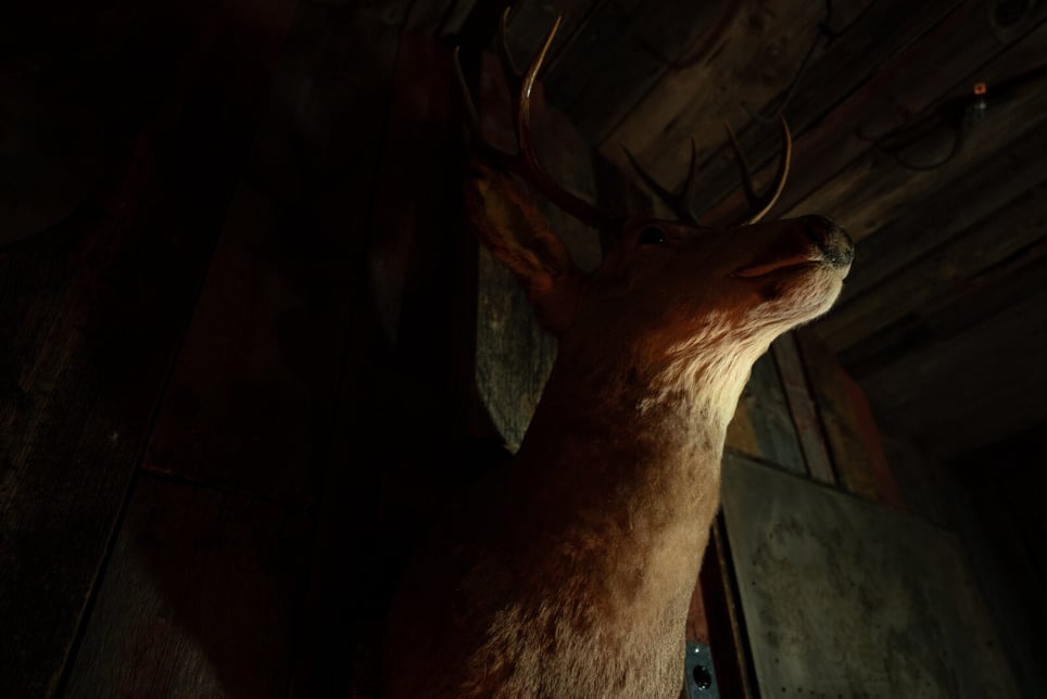 The Woodsman