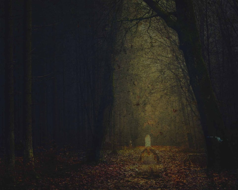 Trail of Terror