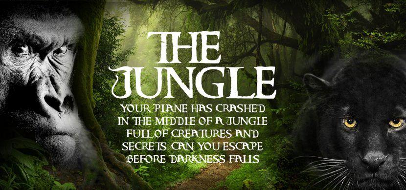The Jungle