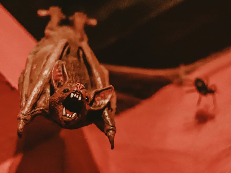 Drakuline Odaje [Dracula's Chambers]