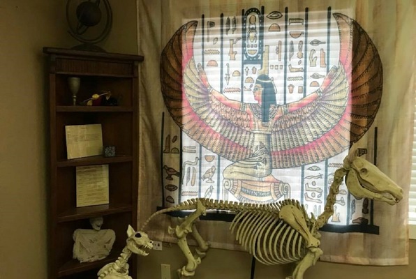Museum Of Legends