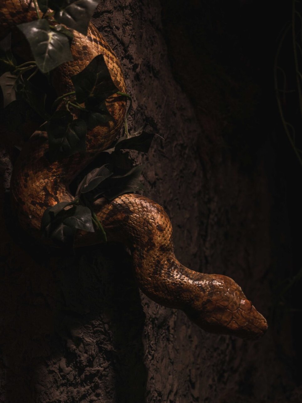 Jumanji
