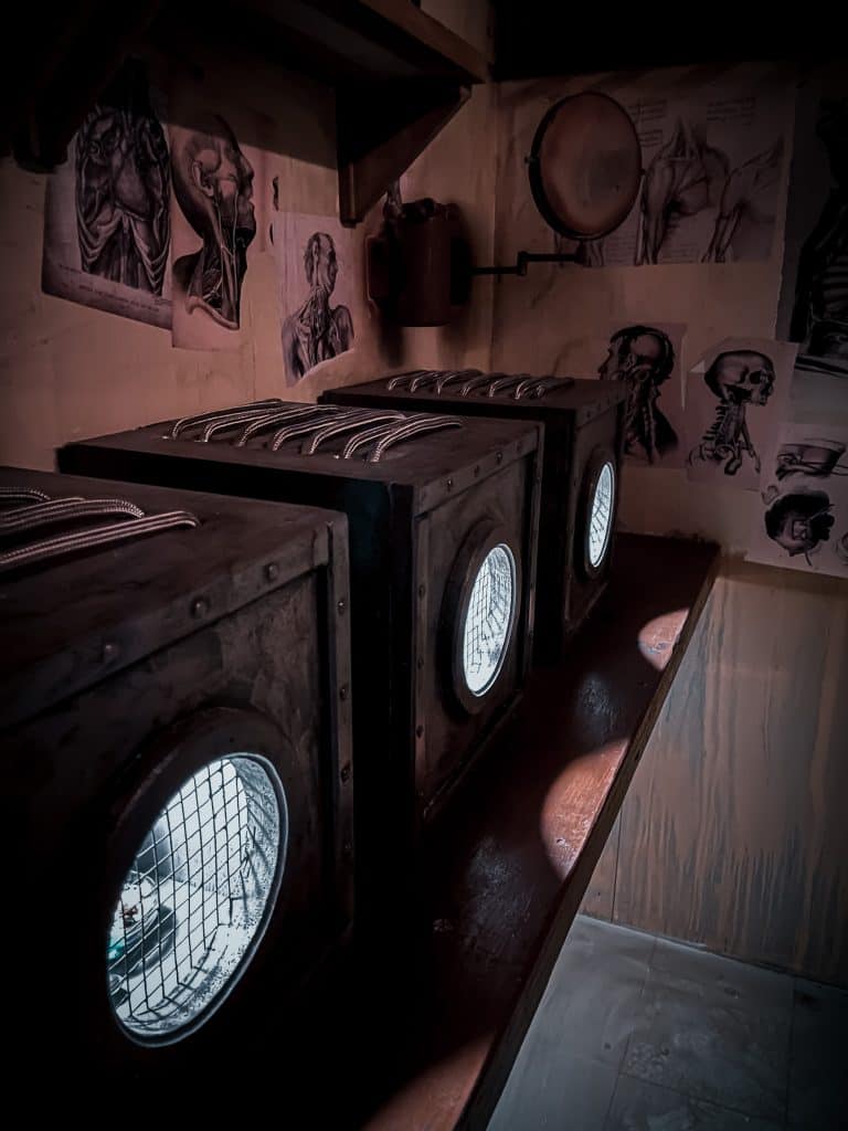 Seven Hills Asylum