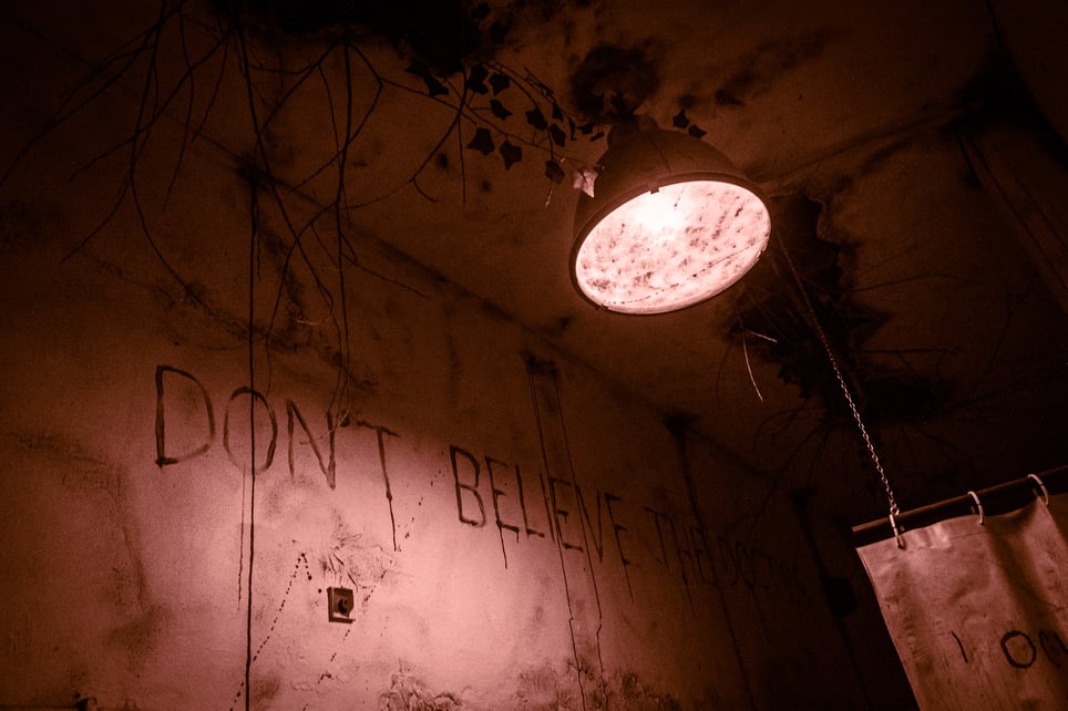 The Asylum