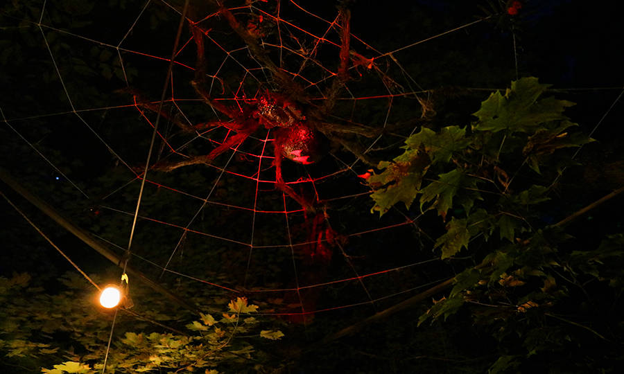 Raven's Hollow Haunted Forest
