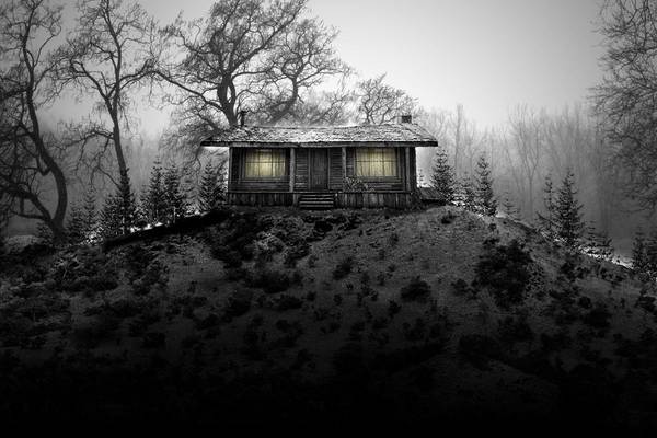 The Cabin
