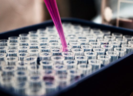 Le Labo [The Laboratory]