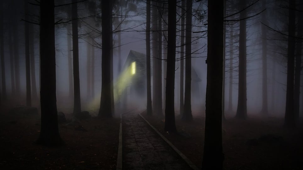 Trail Of Terror