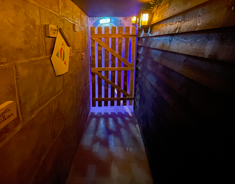 Enchanted Relic: Wizard's Enigma