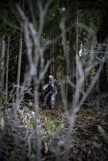 Haunted Trails