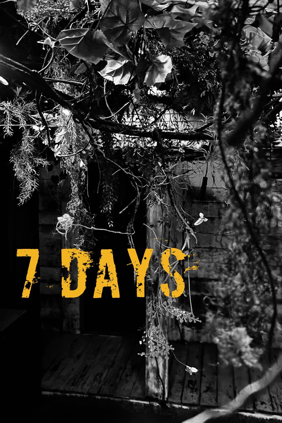 7 Days