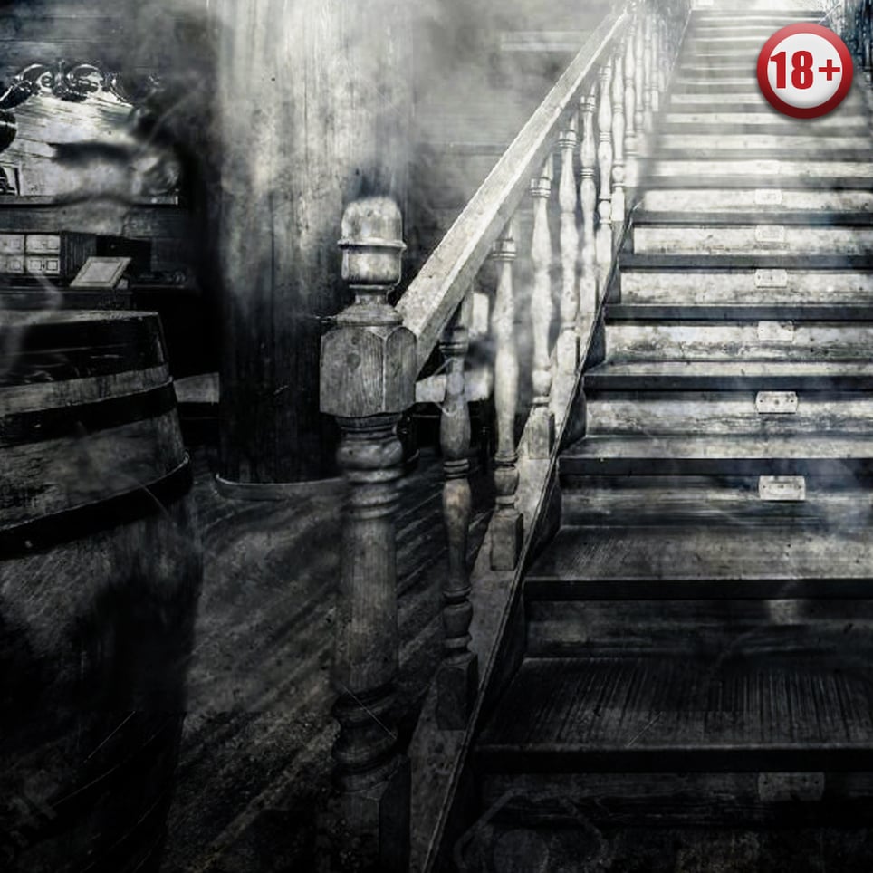 Under The Stairs