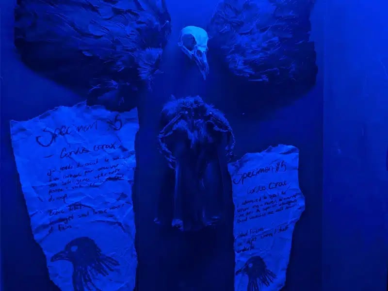 Le Dernier Chapitre: Les Reliques Du Passé [The Final Chapter: Relics of the Past]