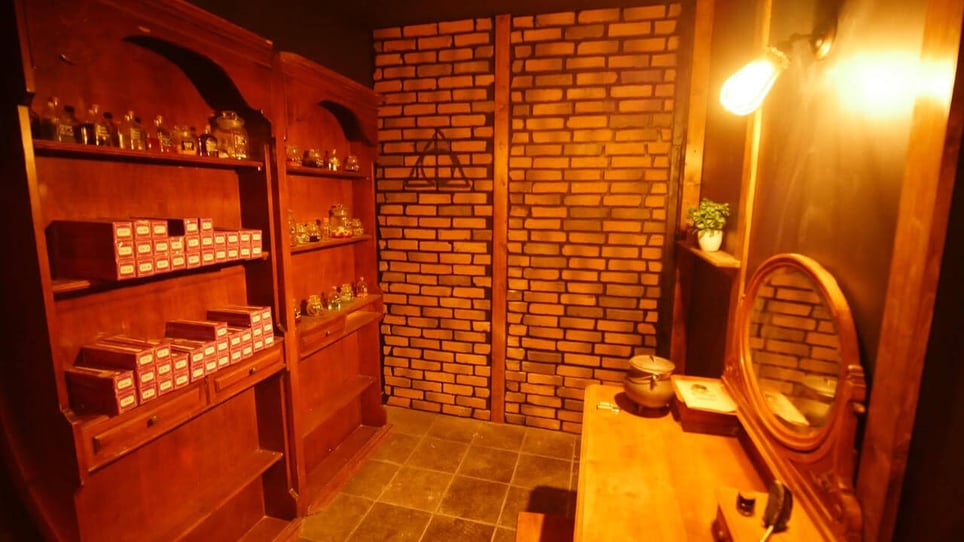 La Magie D’Harry Potter [The Magic of Harry Potter]