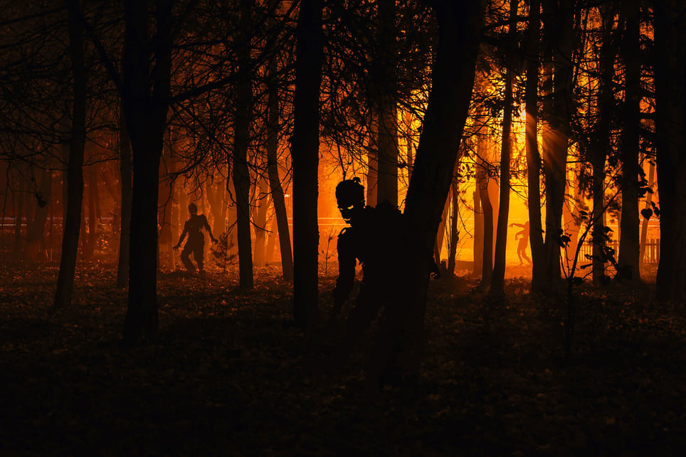 Terror Woods