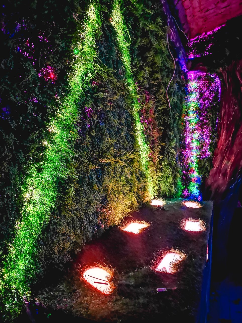 Wonderland