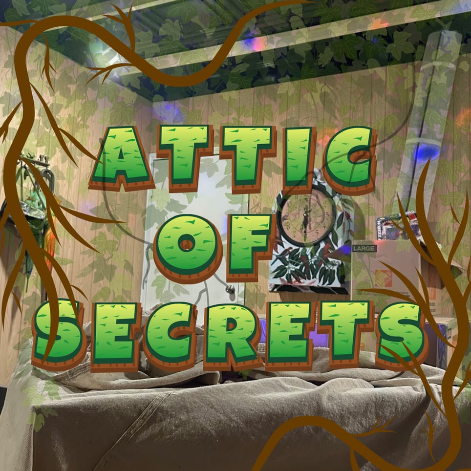 Attic of Secrets