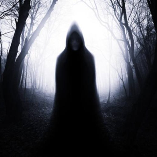 Dark Forest