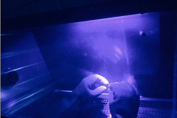 X Project