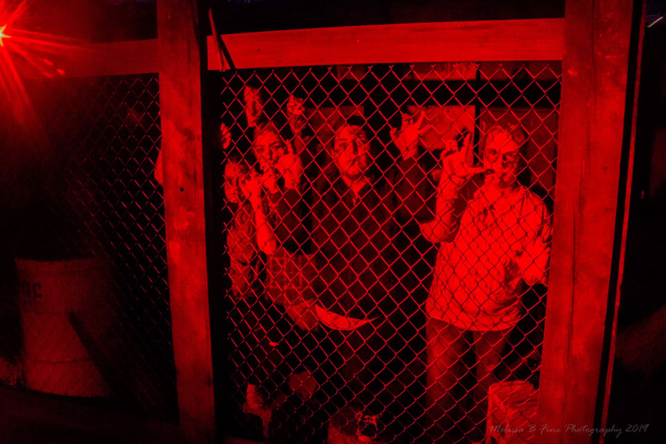 Factory of Terror
