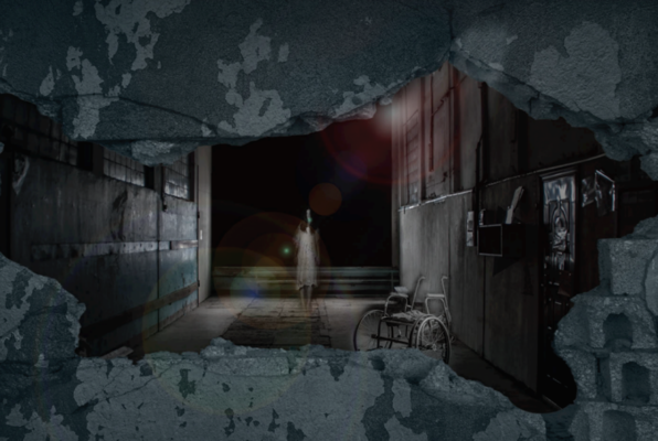 The Asylum