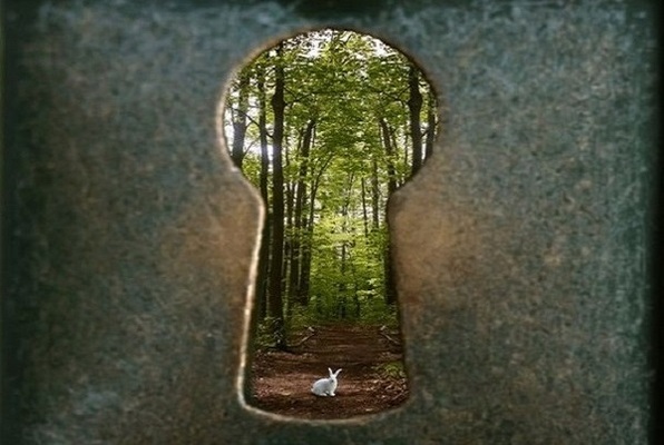 Escape Wonderland