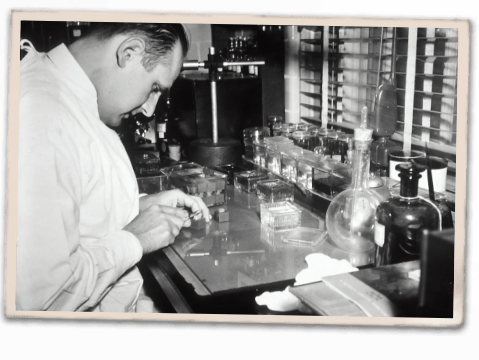 Dr. Picaloo's Lab