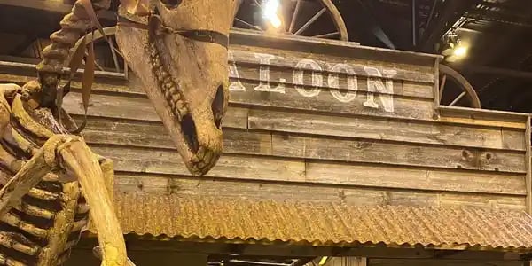 Broken Spoke Saloon