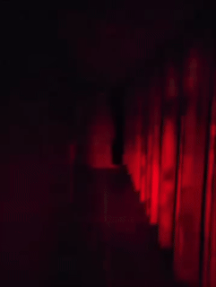 Ghost Hunter