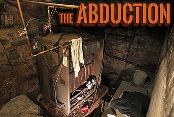 The Abduction